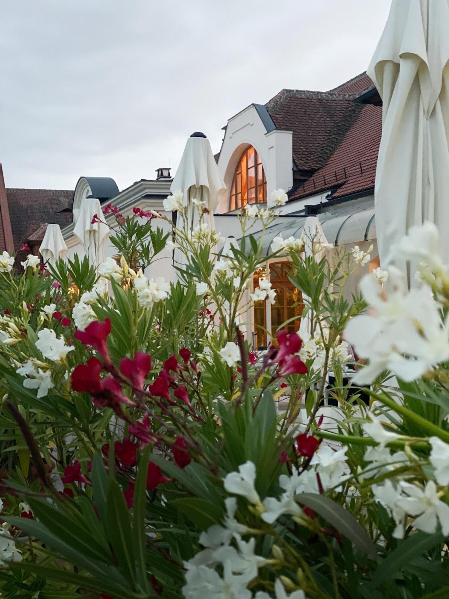 Schloss Thalheim Sankt Poelten Exteriör bild